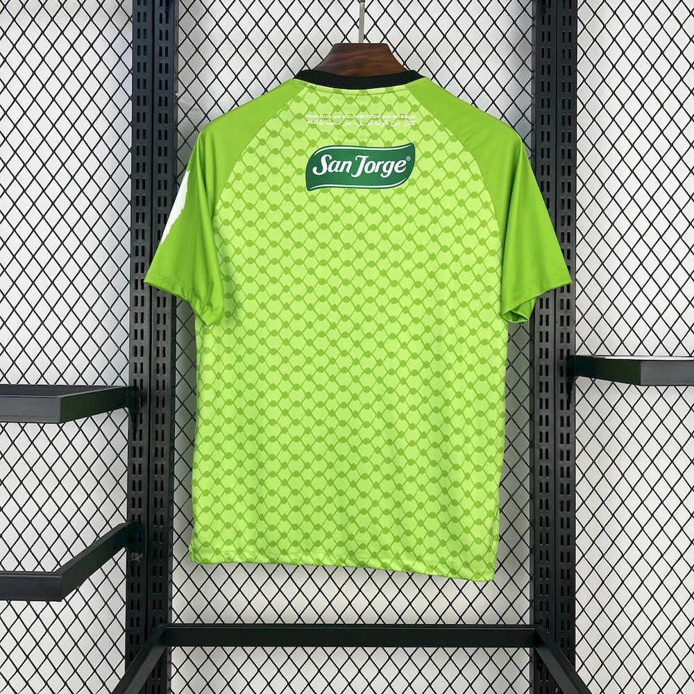 Maillot Palestine 2025/26 - Vert